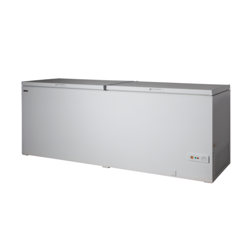 Fresh  KATAΨΥΚΤΗΣ  CL 600 DSL
