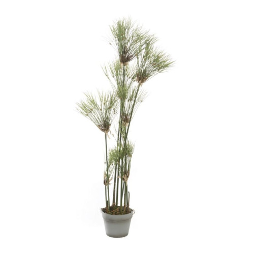 Artekko 6-0151Okrin Τεχνητό Υδρόφυτο 120cm