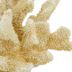 Artekko Coral Μπεζ Διακοσμητικό Κοράλλι Ρητίνης (22x17x14)cm