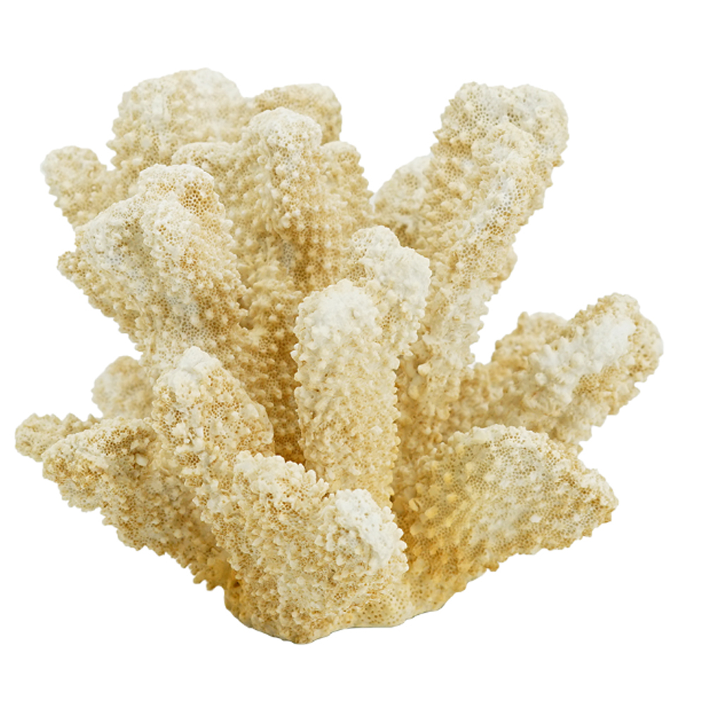 Artekko Coral Μπεζ Διακοσμητικό Κοράλλι Ρητίνης (22x17x14)cm