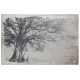 Artekko Arboreal Πίνακας Καμβάς Ξύλο Καμβάς Γκρι (150x3.8x100)cm